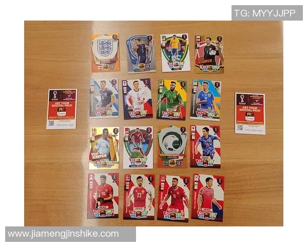 收藏足球帕尼尼世界杯球星卡的魅力与价值揭秘