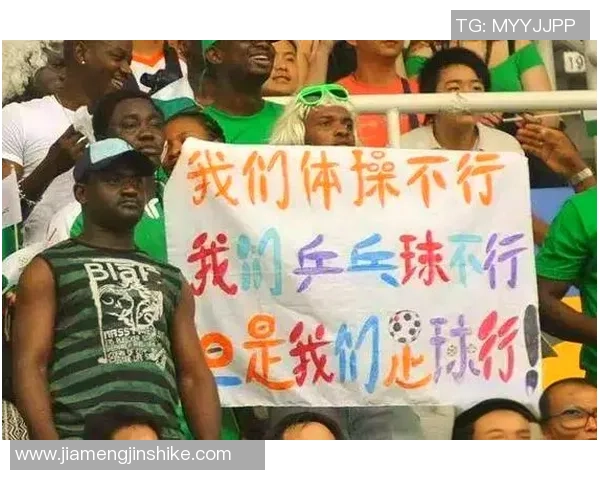 足球场上五号球星的辉煌历程与传奇瞬间解析